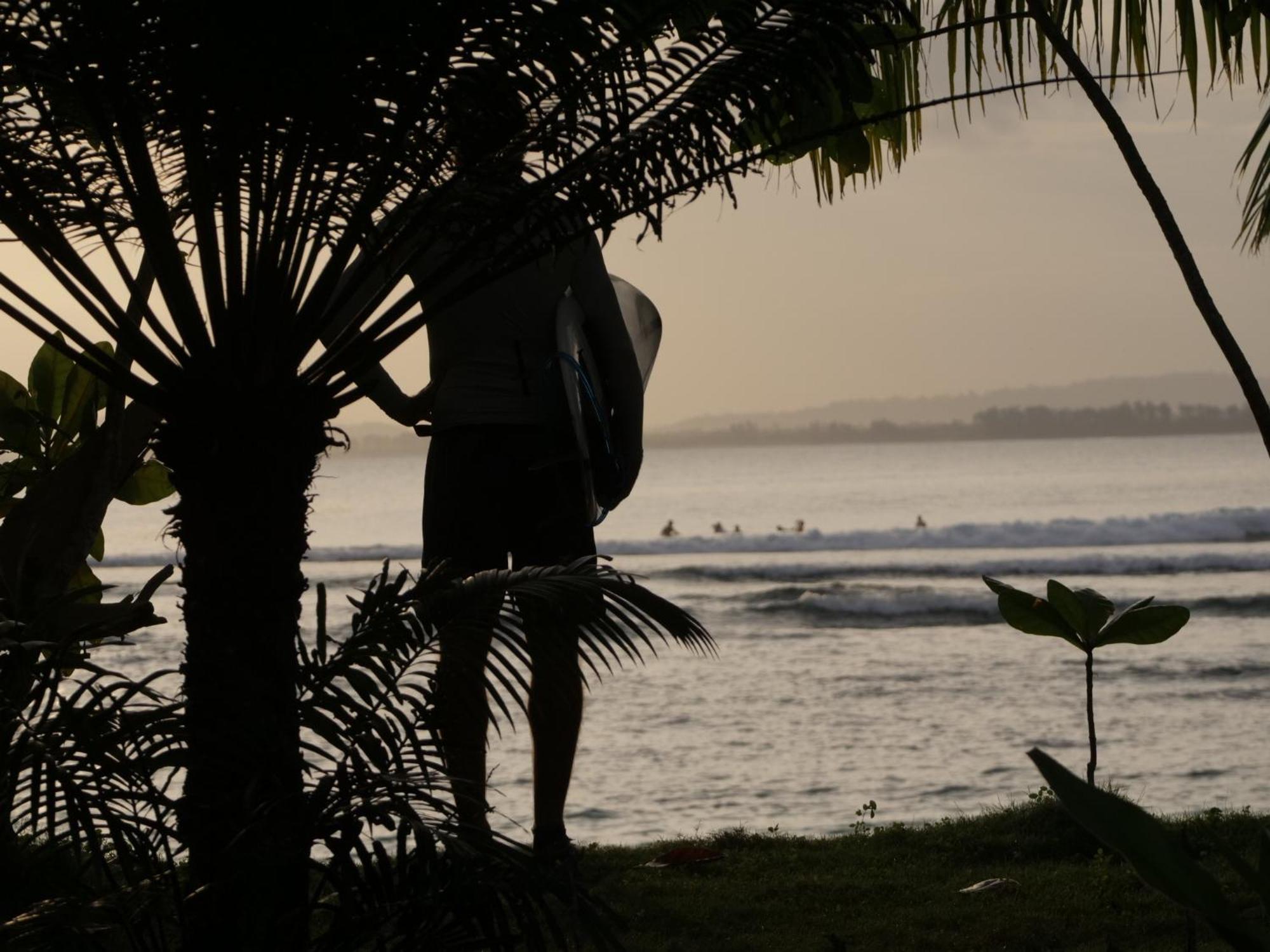 مبيت وإفطار Masokut Carve Bay Mentawai المظهر الخارجي الصورة